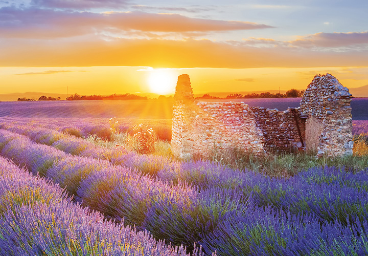 Provence – Camargue – Ardèche